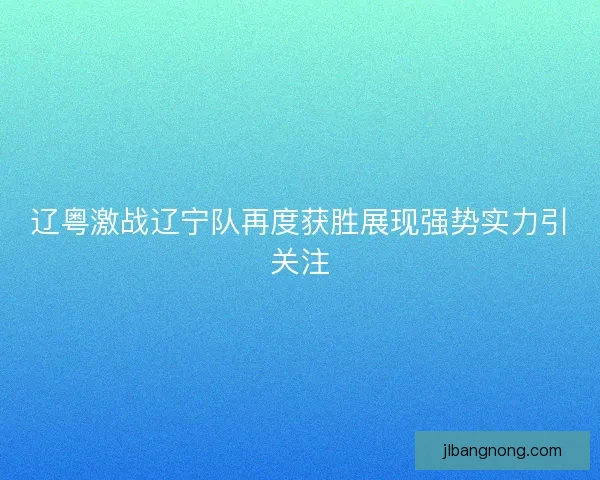 辽粤激战辽宁队再度获胜展现强势实力引关注