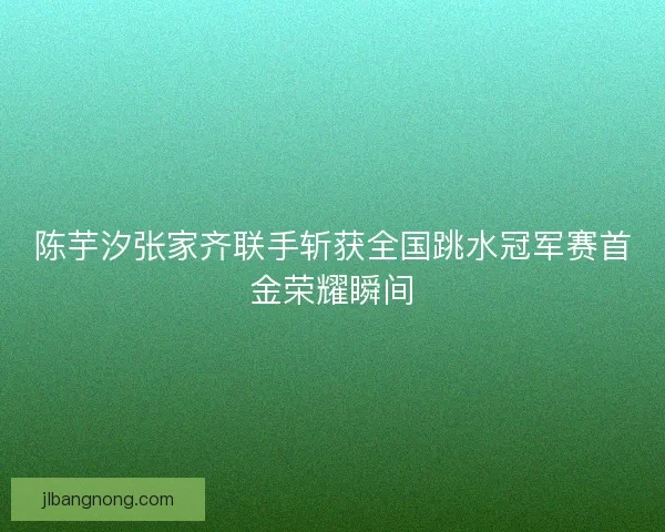 陈芋汐张家齐联手斩获全国跳水冠军赛首金荣耀瞬间