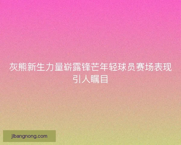 灰熊新生力量崭露锋芒年轻球员赛场表现引人瞩目